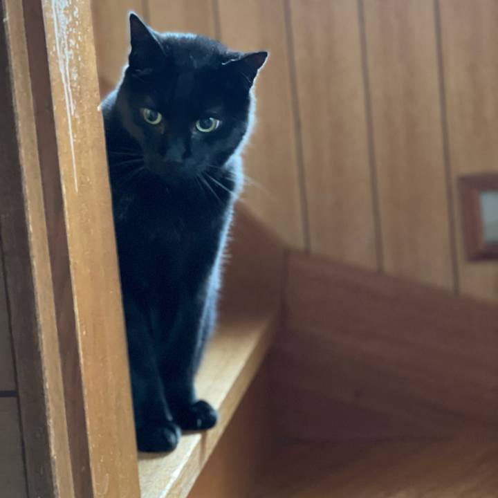 90895146 7850 4785 a3fe 463ac688f35f 1618784157792