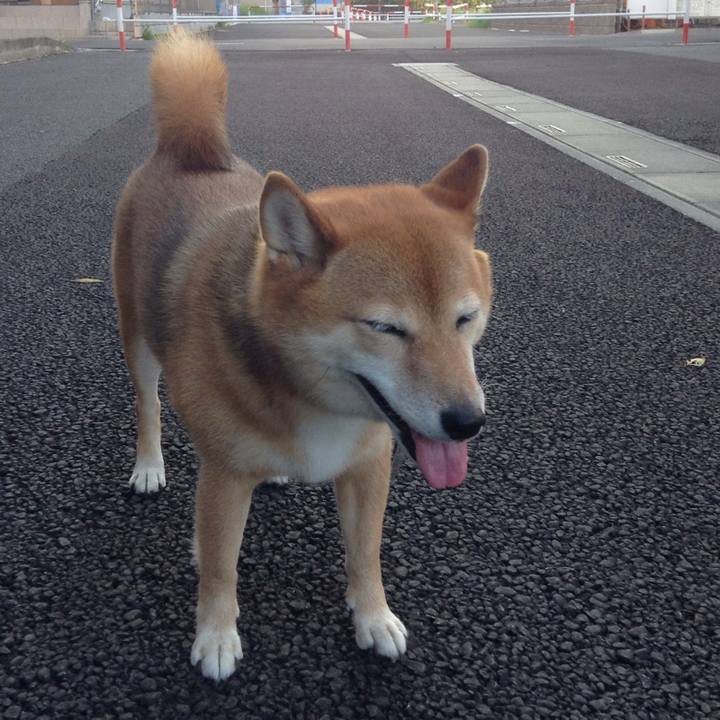 90895195 d87f 4bc9 b23e 8b9722a33df1 1531651685760