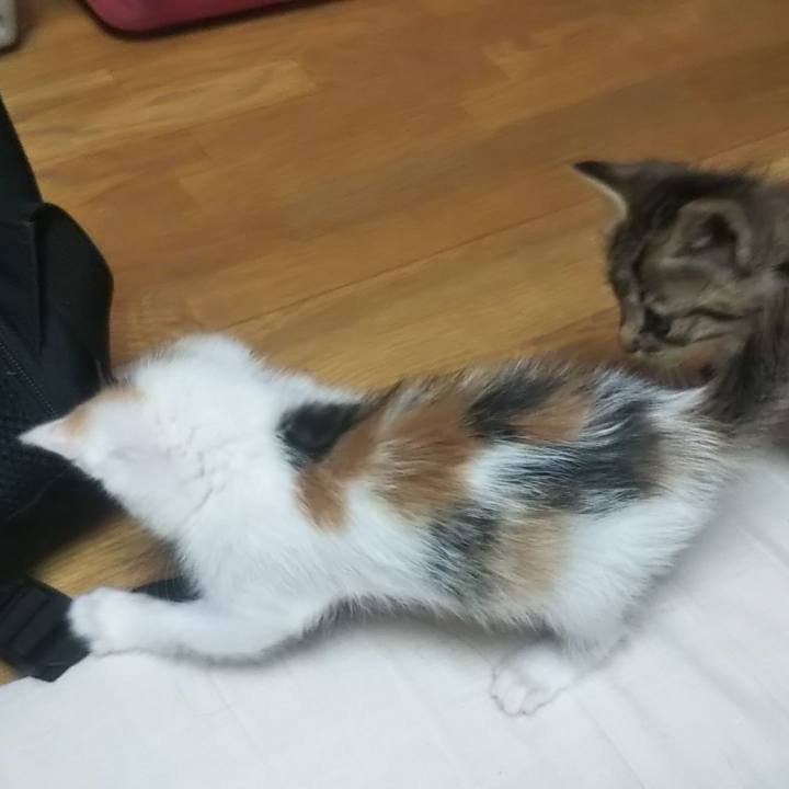 9089692b 3098 465e 9359 08aeaf01fbb3 1632395568572