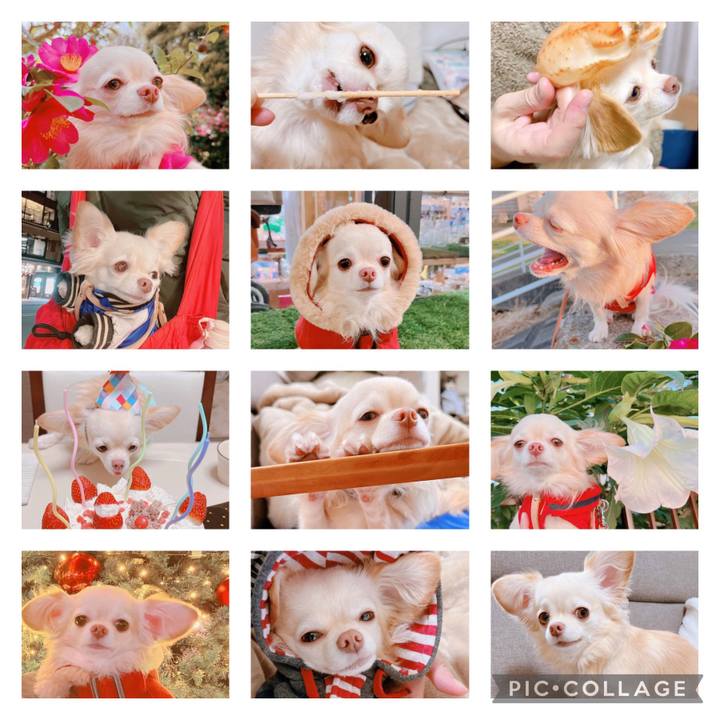 9089c984 8be3 42be 95bf 2b4ac819410f 1697449262241