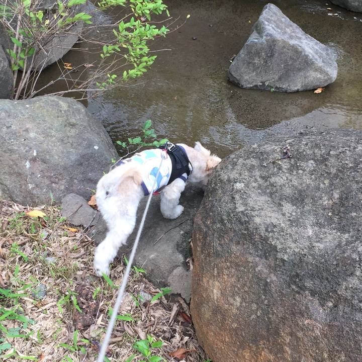 9089cfba 7fec 4ca5 ae51 492e1b651775 1538978092439