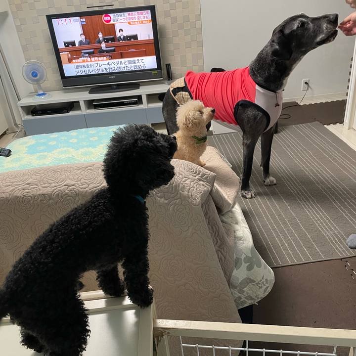 9089dca5 1b4c 42c9 9c11 ce8483d680b1 1630621130736