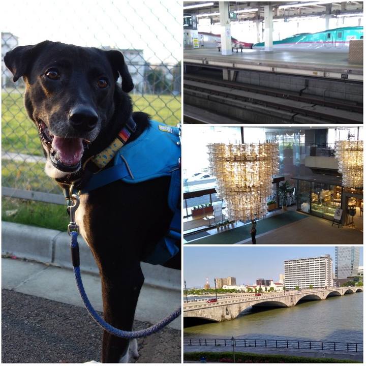 908a01b8 9cd9 4b37 9be5 58c80dc77df2 1623320583613