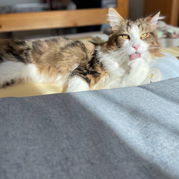 908a0f92 f649 4ded 9155 56152d76929d 1646546336899