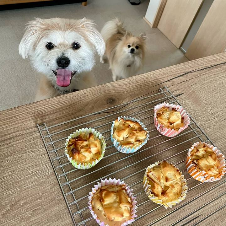 908a345b 9761 4389 9166 579afa2a0032 1763777690809