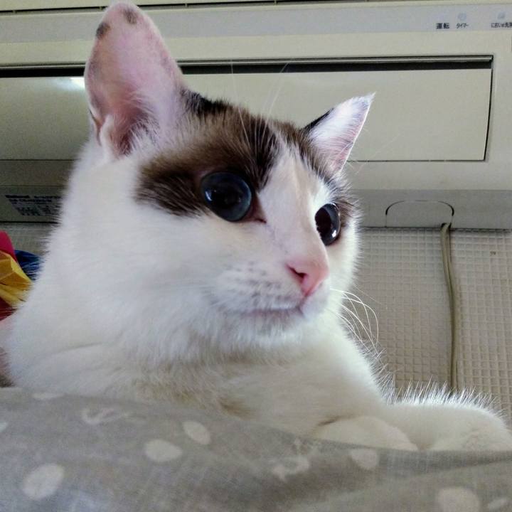 908a37a0 99af 4c1a b591 eb7e61704564 1569455465546