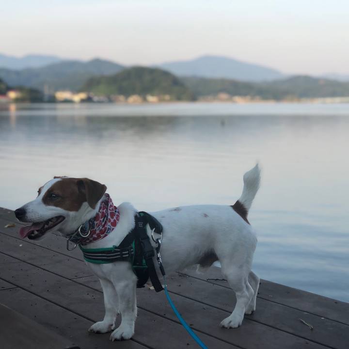 908a3c5a 71ba 4ecd 8e5b ddb6cc59d56f 1565480991039