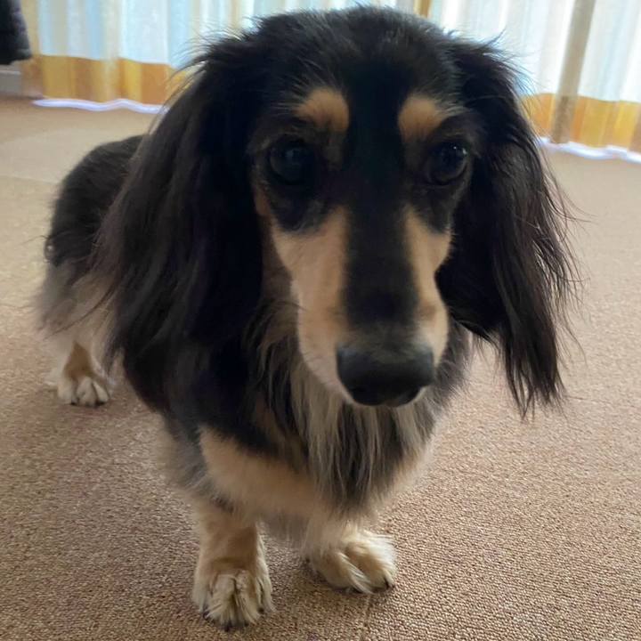 908a6c45 f2a5 4b19 aaac 0d0741abe75c 1770444153941