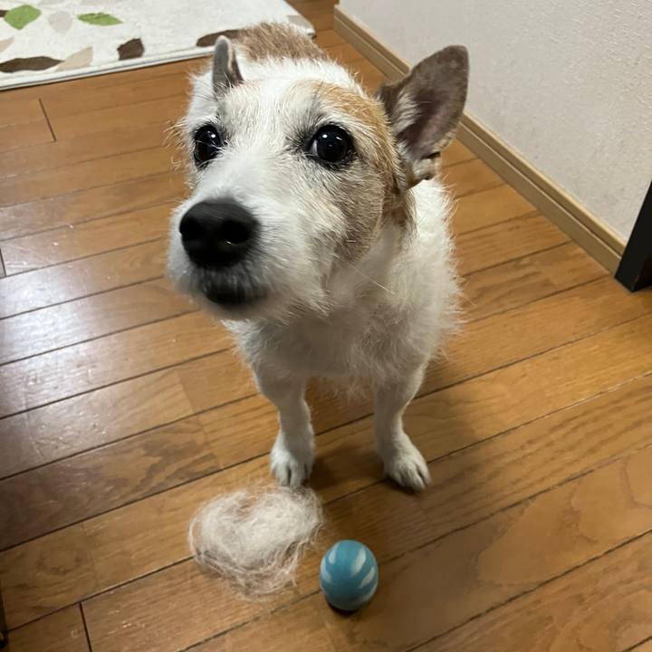 908a8e08 900e 41e2 9b30 c9f038bd88cd 1745884099252