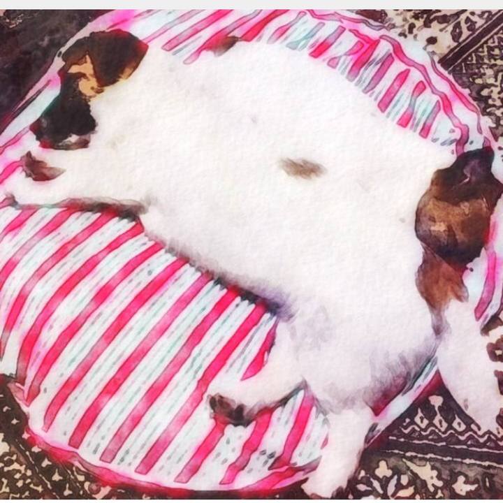 908a9fee 16e7 4e24 9e28 b9fd746dc0ab 1524111130533