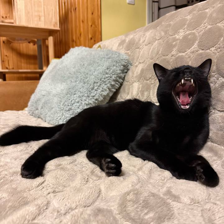 908aca9a 8edc 4eb4 bcf8 8db07ff27a63 1770069632436