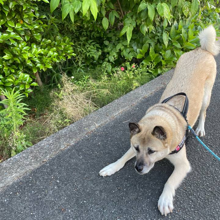 908ad535 f570 48f5 9e20 d322a9c5ab14 1717503600879