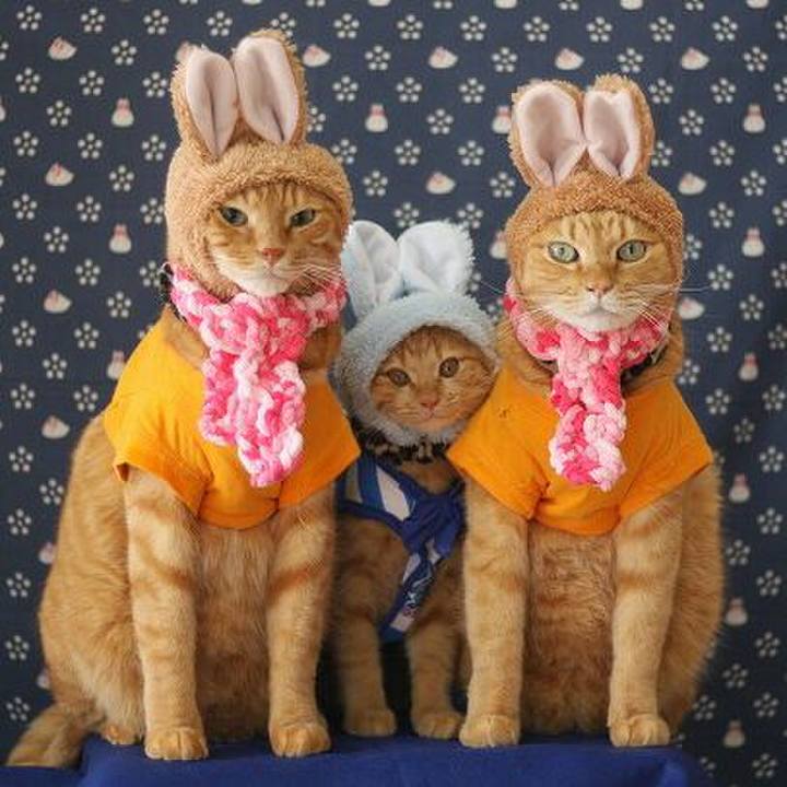 908b4200 02f7 4117 b0ef 0e800f0661dc 1544354217073