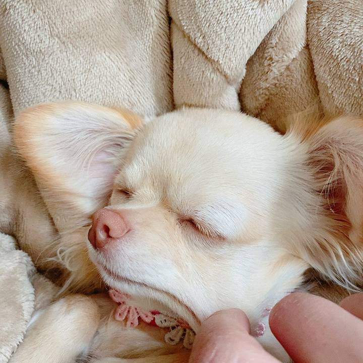 908b4689 6873 4108 831d a5ffde1fba49 1614313763944