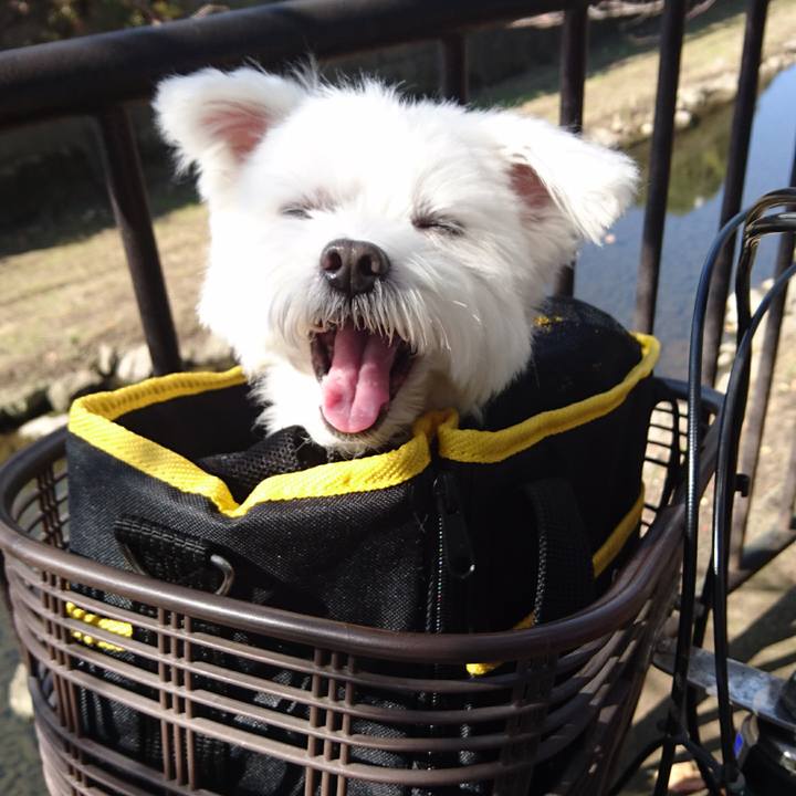 908b6f3e f9ad 41b1 bf34 8cd6a9b3cc92 1524717166878