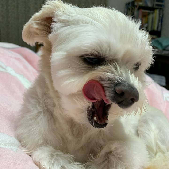 908b990a 48a0 4218 a114 6d995f68a9d6 1642680658292