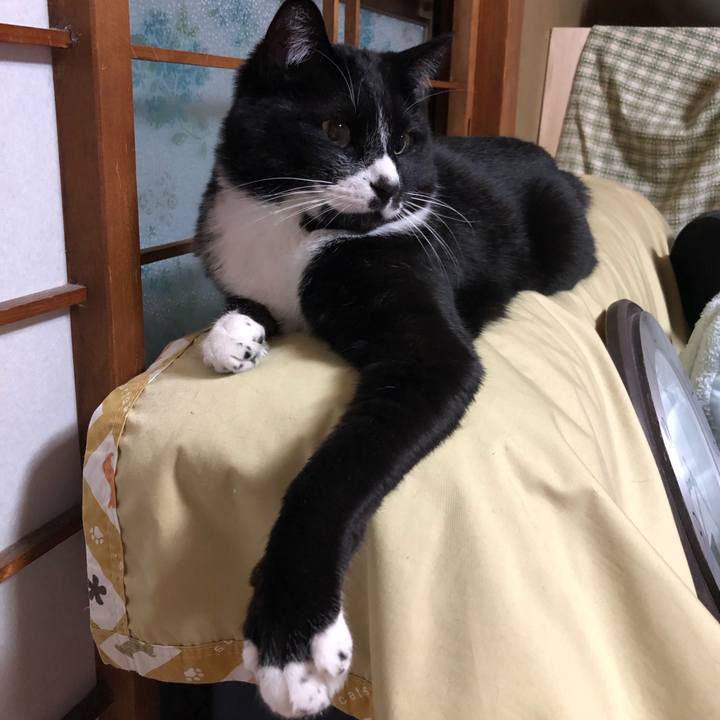 908b9f9b 420d 4712 a831 6ab9711f9280 1619754171767