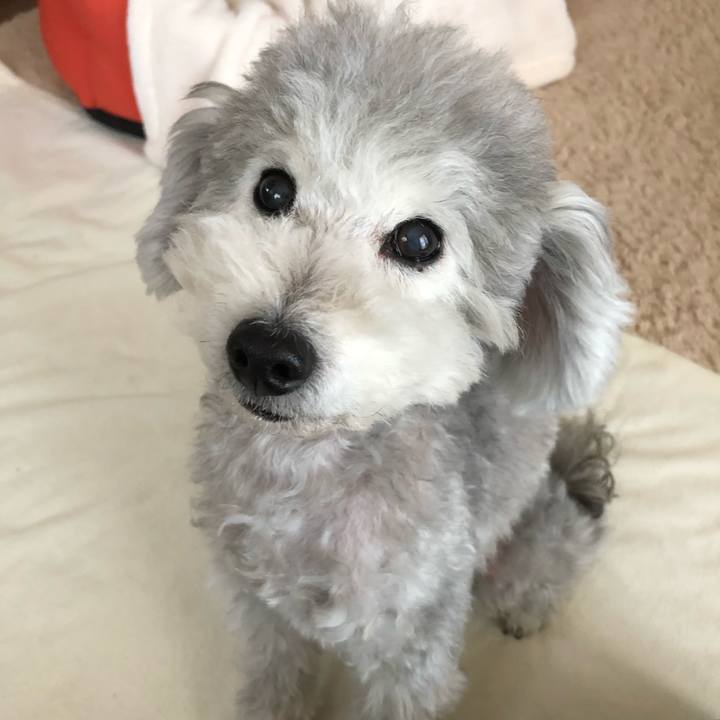 908bb97a d414 43ae 9b37 82fb7af69238 1548039986633