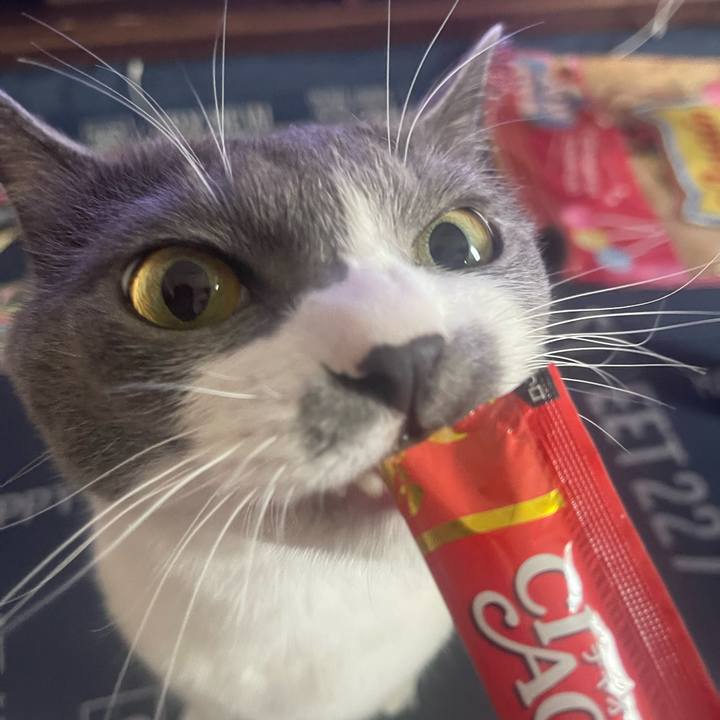 908bfce1 2ca7 4f46 8d03 e31c605518bb 1692167698020