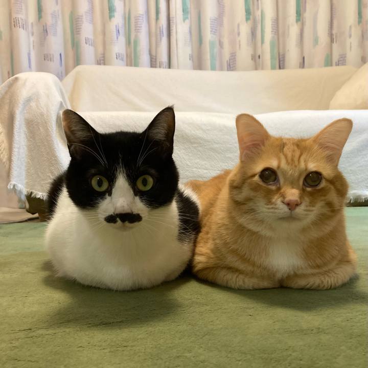 908c01df 584d 4a5e 9edc 5c86eb0a6132 1770982863529