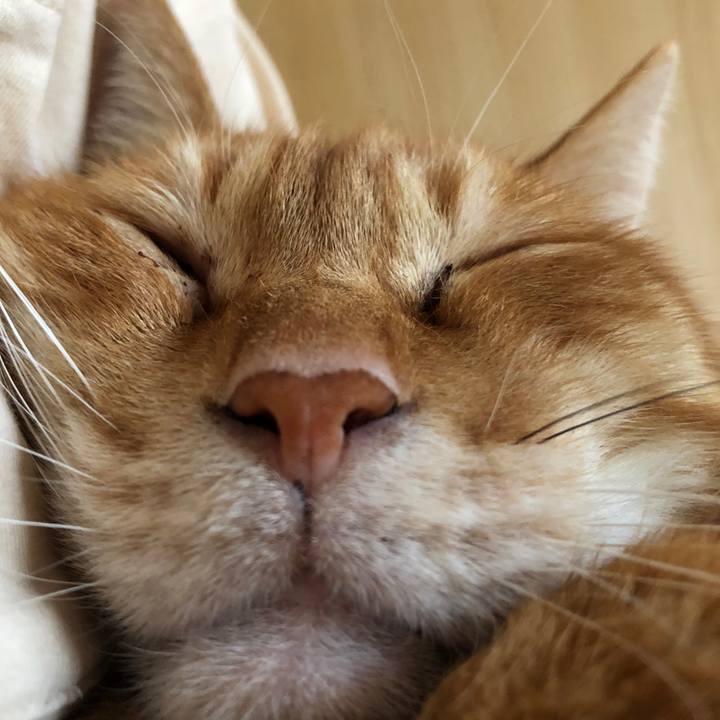 908c1bd3 c2d7 49f3 8491 96c3780a92f5 1654312848432