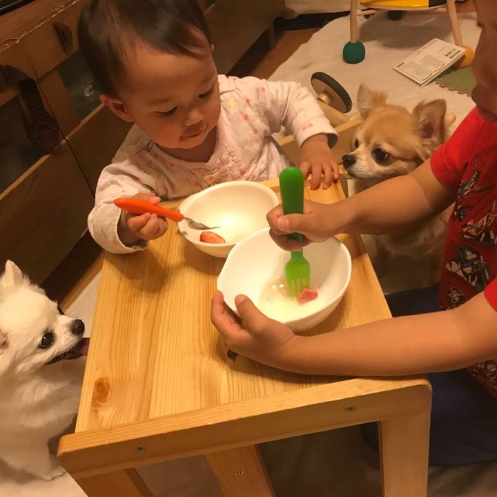 908c3789 d18e 41eb 9a70 bc73ebb59886 1554468686671