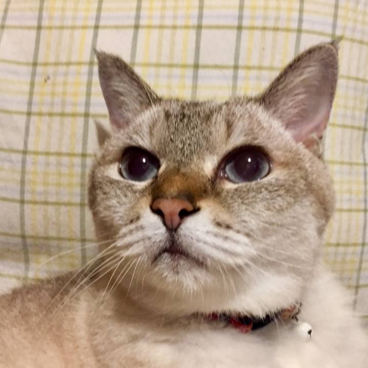 908c38a5 d8fb 4ebb 973b 70cdd5f54709 1565956322586