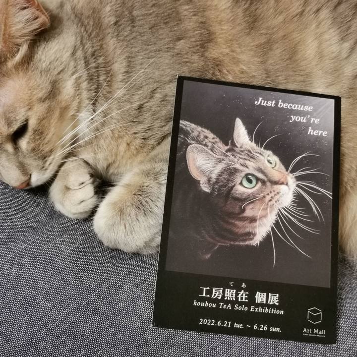 908c826f 4a46 4f7b b078 39d72a74a7c1 1652188950524