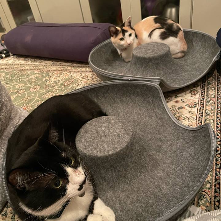 908c91e0 e284 4e88 b36c 5e09119462dc 1743255259676