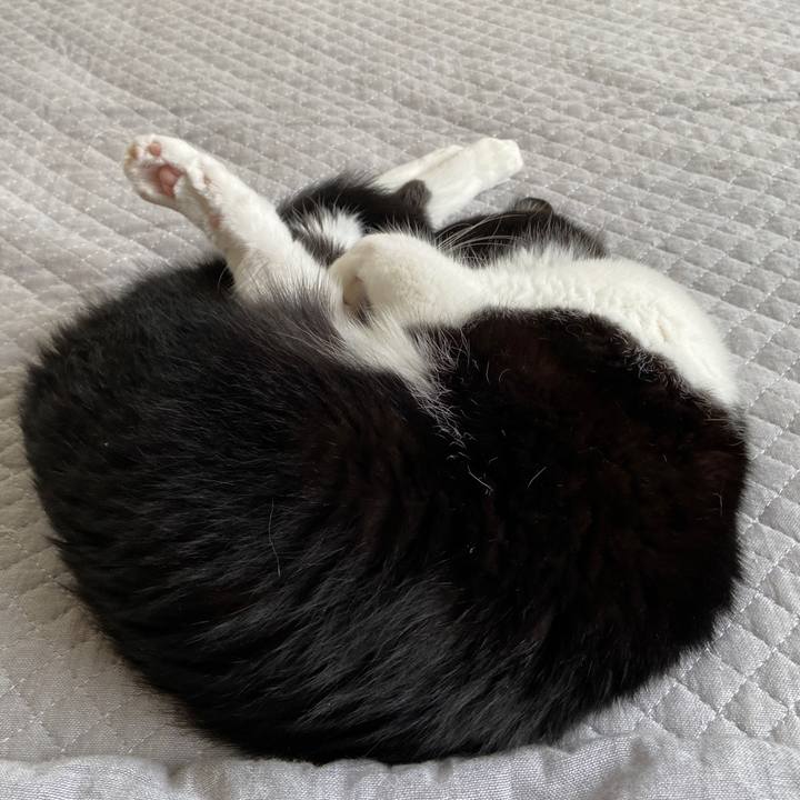 908c970a 2f5e 4f08 bbe1 a2bce3514c19 1630648512389