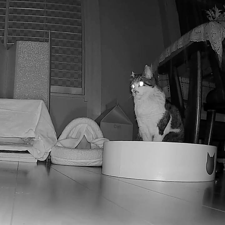 908ca966 6733 4fa4 a513 a06fa510f33a 1770469902702