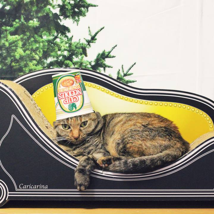 908cd494 4d79 402f 9b54 7ef258f1154d 1571268212757