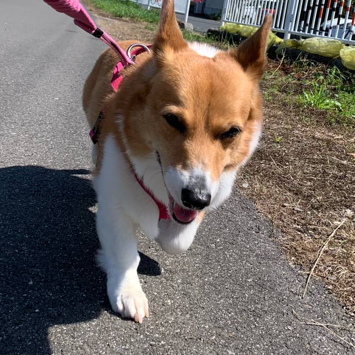 908cd5d2 e71a 4f3b 923c 2685fc238b73 1714698980938