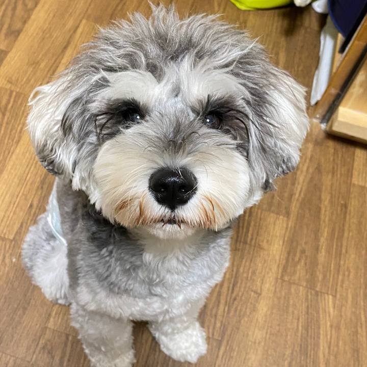 908d0108 a575 47a0 b366 5ee621fb053a 1598359296458