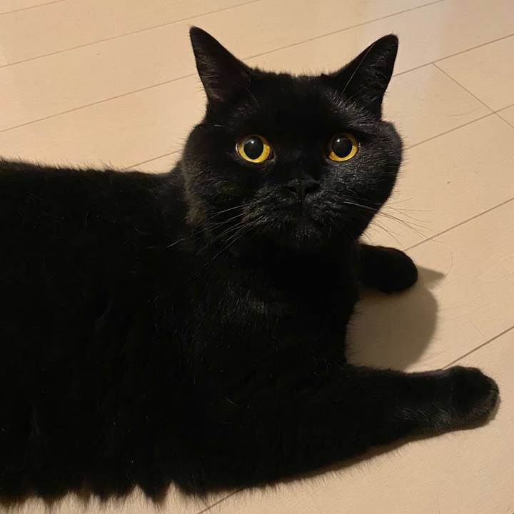 908d1d6e 1196 47ec 8a63 eaaee8c82c6c 1626256782910