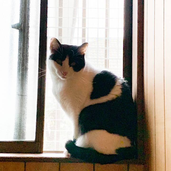 908d4a14 df6a 4e44 9759 df56a5562619 1547690299727