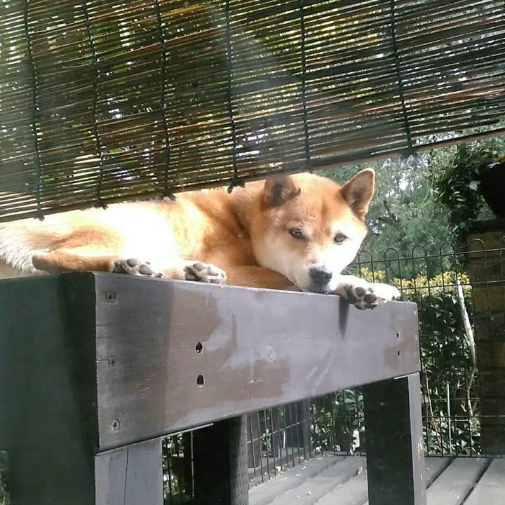 908d8564 70a5 4e9c 8d38 c87308c84c43 1555999308173