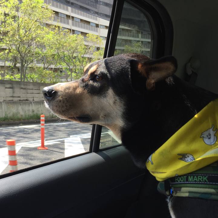 908dccb1 675c 4a7c b2ed 4b79f72a5173 1525393887677