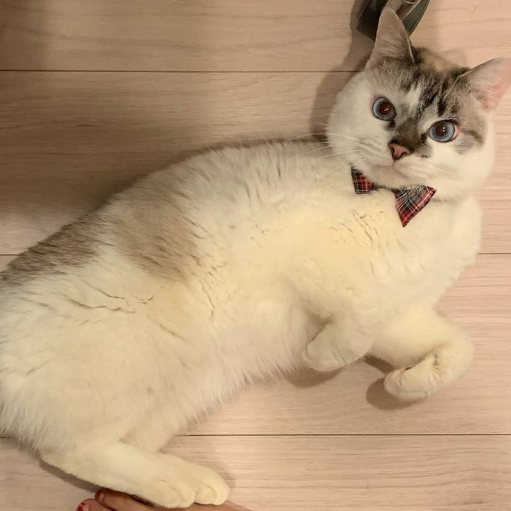 908dea66 3b59 4949 9828 b8bf715e30a2 1579134960066