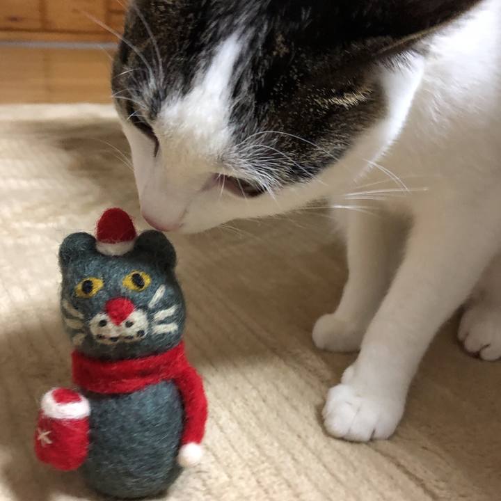 908e0ba2 cfe2 4444 8300 bb4706b15e7f 1606830068610