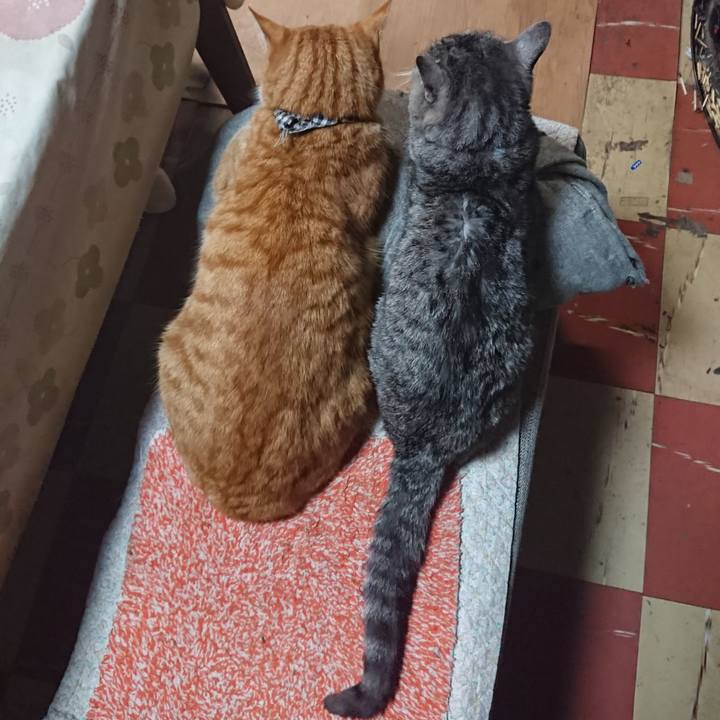 908e2316 340c 4ef4 915c cf7474711a4f 1575580014165