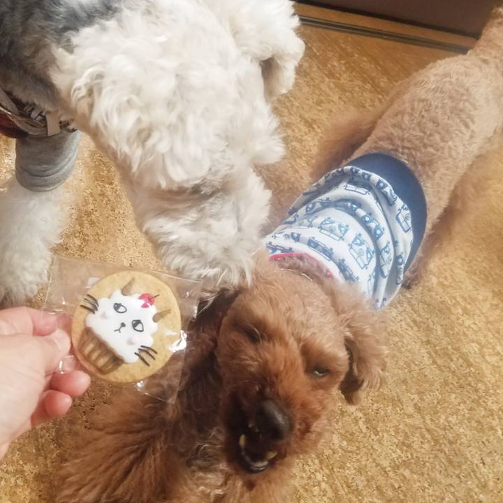 908e405f bf98 4c28 b46b 8546f537cfde 1545346043934