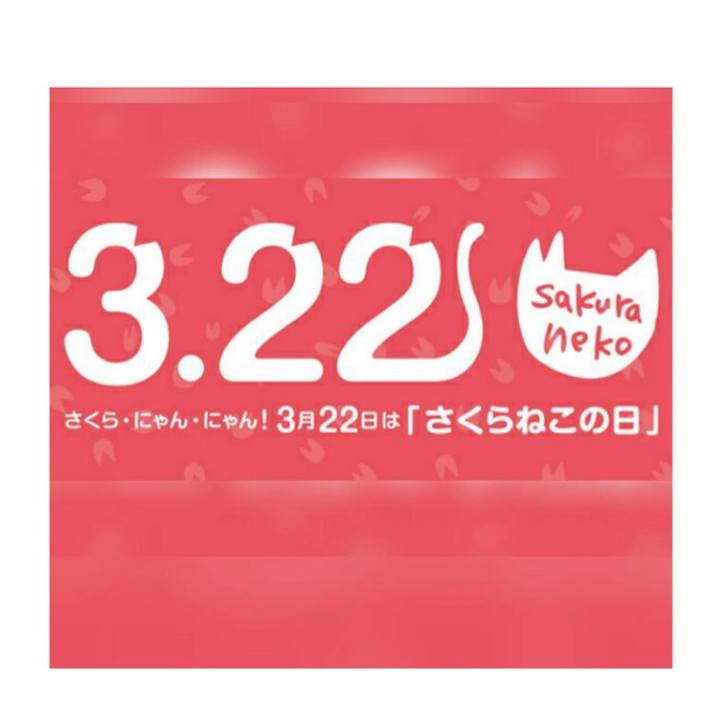 908e5786 e76d 4eea b4ed 2ecf278ed1e7 1553212718736