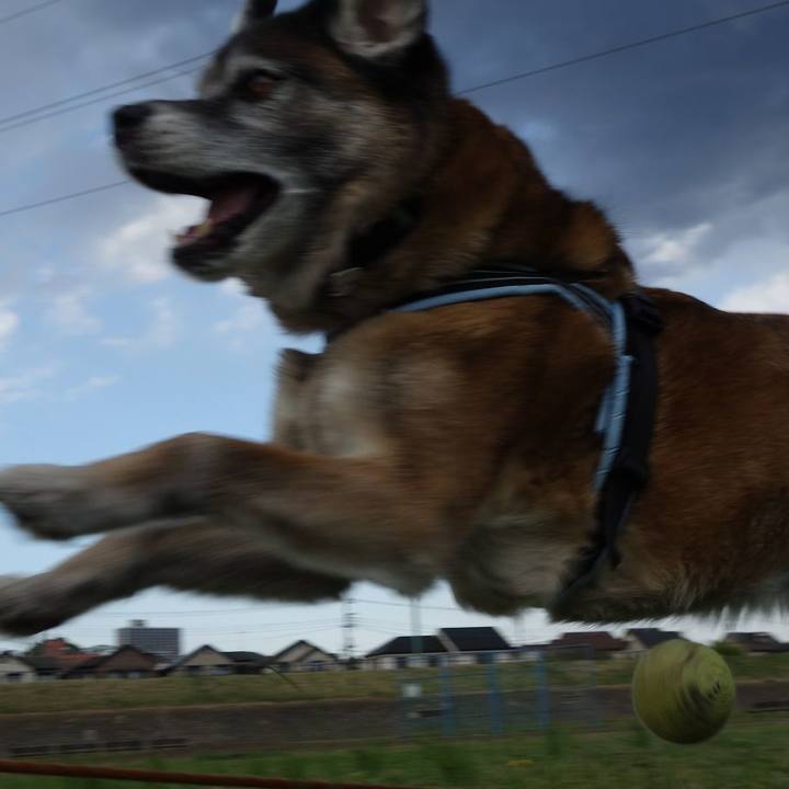 908e83bd 5925 4ba4 abf5 c0bcc7f29d7b 1523181635166