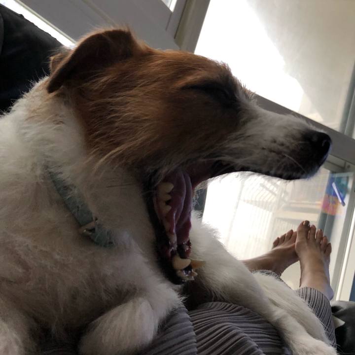 908e8430 2ba0 425b 8fbe f0e065d829e0 1570852559274