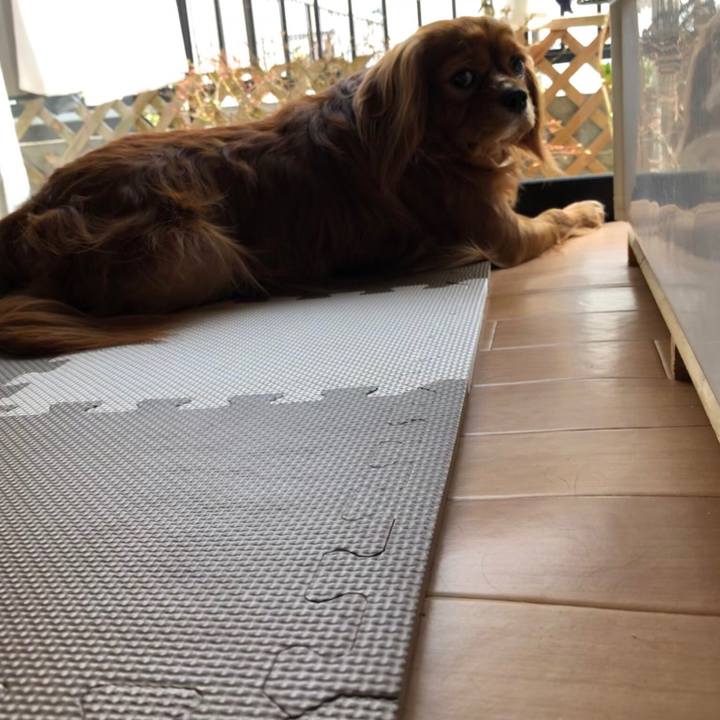 908e85e2 a188 4074 b433 63e3ee998cc1 1554906088135