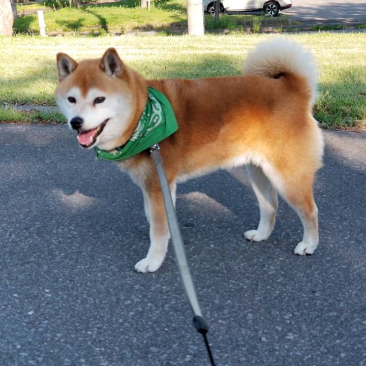 908e9b2b 4cbd 4658 9a44 b4e718650aa9 1558597481456