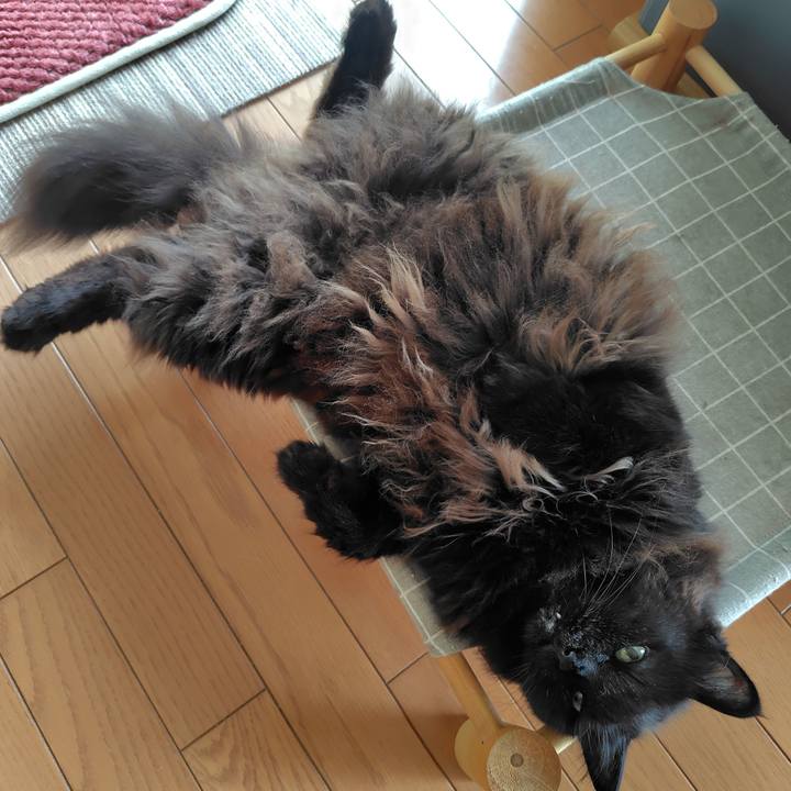 908ea1dd de13 4314 b9e8 d6364ba2e484 1749338651376