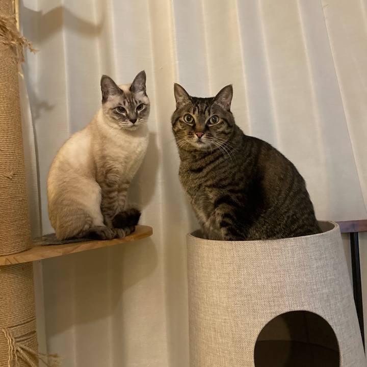 908f14ff a212 4ce2 8961 0f88e95881fa 1703122947427