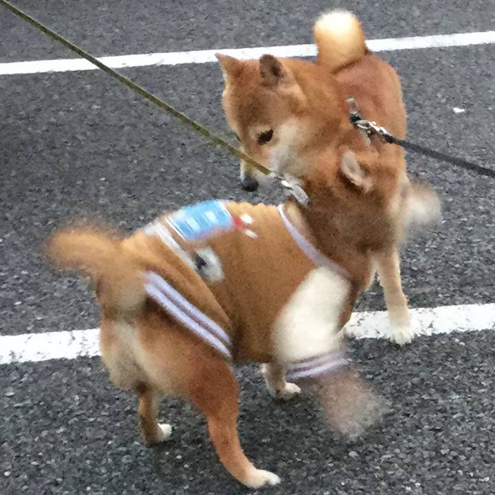 908f2433 a07f 4ffa 8382 93c96849fac5 1577520572253